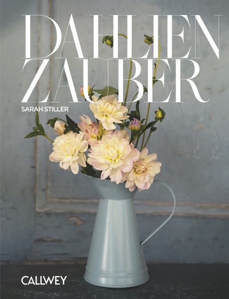 Dahlienzauber