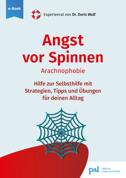 Angst vor Spinnen