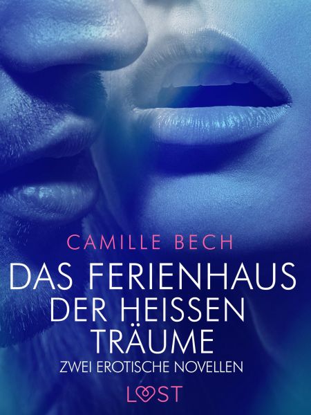 Das Ferienhaus der heißen Träume – Zwei erotische Novellen