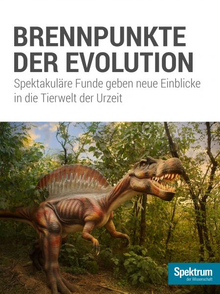 Brennpunkte der Evolution