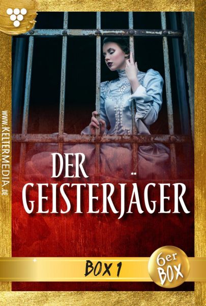 Der Geisterjäger Jubiläumsbox 1 – Mystikroman