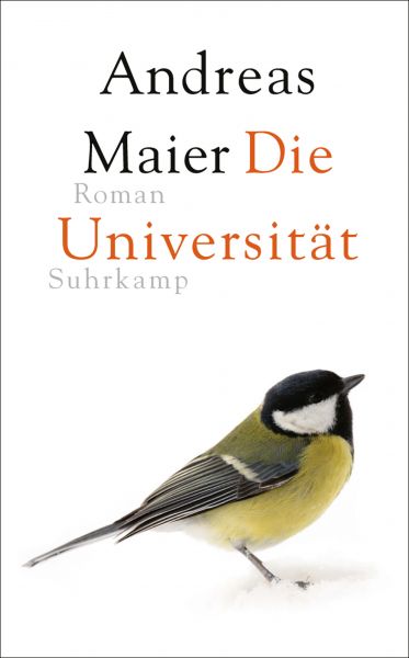 Die Universität − Roman (Ortsumgehung 6)