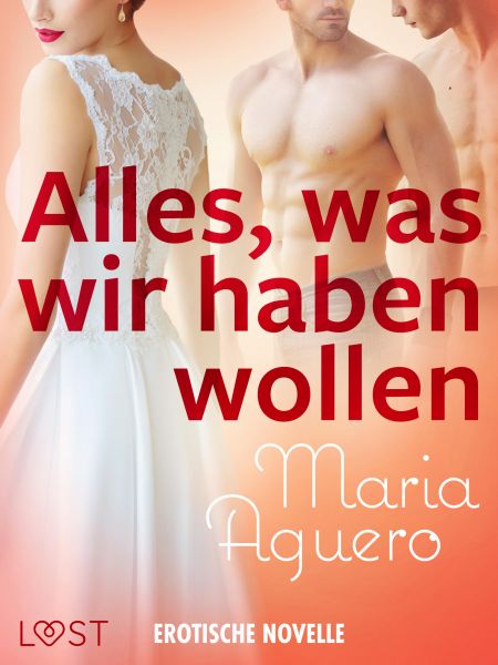 Alles, was wir haben wollen - Erotische Novelle