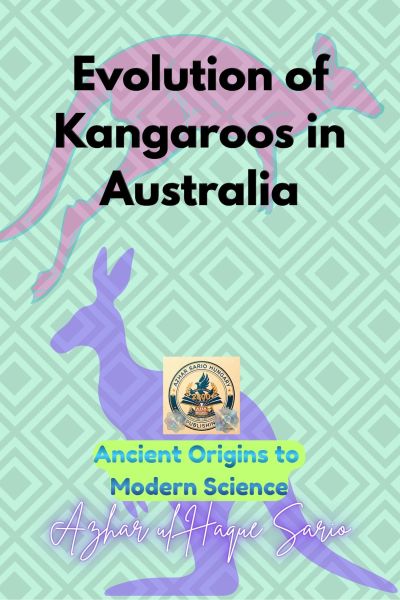 Evolution of Kangaroos in Australia