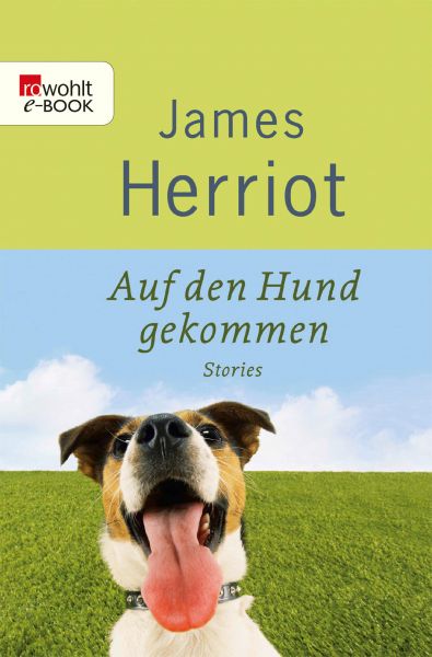 Auf den Hund gekommen