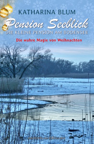 Pension Seeblick: Die kleine Pension am Bodensee – Die wahre Magie von Weihnachten