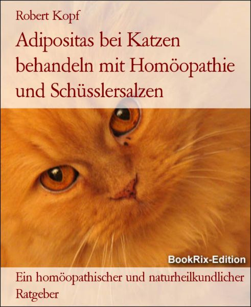 Adipositas bei Katzen behandeln mit Homöopathie und Schüsslersalzen