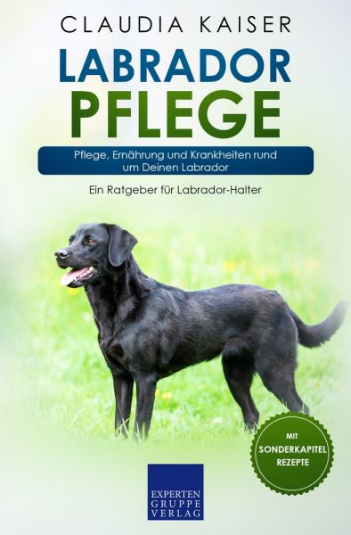 Labrador Pflege