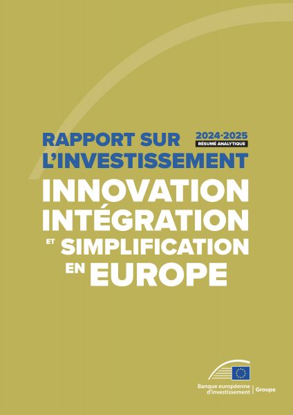 Rapport 2024-2025 sur l'investissement – Résumé analytique
