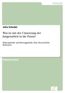 Was ist mit der Umsetzung der Jungenarbeit in die Praxis?