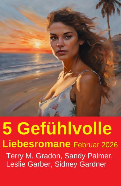 5 Gefühlvolle Liebesromane Februar 2026