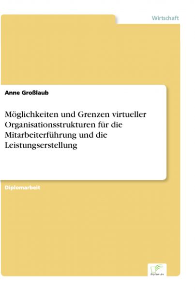 Möglichkeiten und Grenzen virtueller Organisationsstrukturen für die Mitarbeiterführung und die Leis