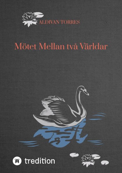 Mötet Mellan två Världar