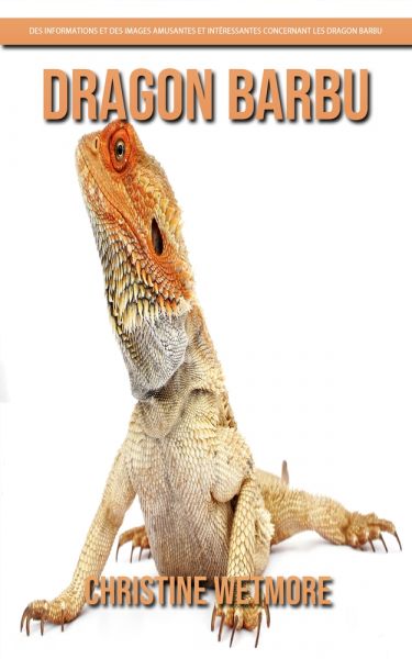 Dragon Barbu – Des Informations et des Images Amusantes et Intéressantes concernant les Dragon Barbu