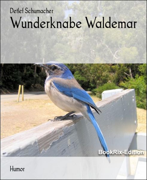 Wunderknabe Waldemar