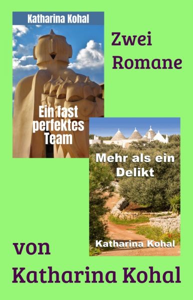 Ein fast perfektes Team – Mehr als ein Delikt