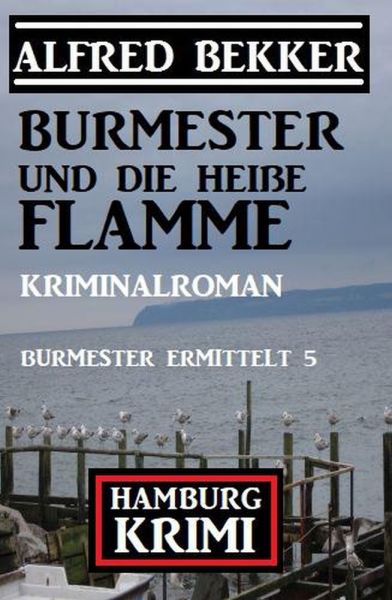 Burmester und die heiße Flamme: Hamburg Krimi: Burmester ermittelt 5