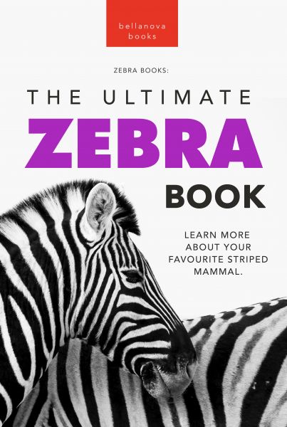 Zebras The Ultimate Zebra Book