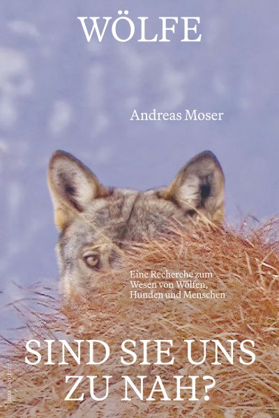 Wölfe – sind sie uns zu nah?