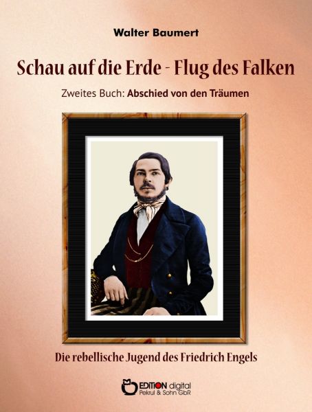 Schau auf die Erde – Der Flug des Falken. Zweites Buch: Abschied von den Träumen