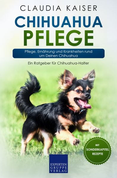 Chihuahua Pflege