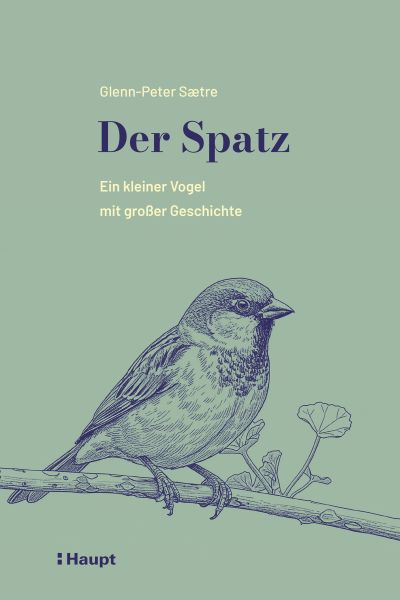 Der Spatz