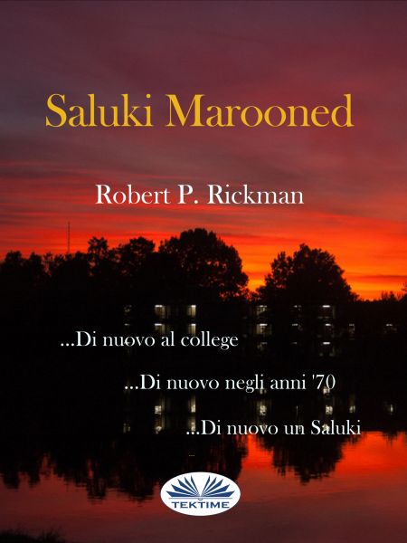 Saluki Marooned