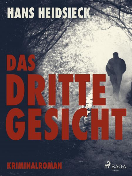 Das dritte Gesicht