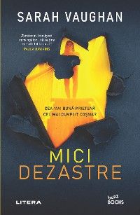 Mici dezastre