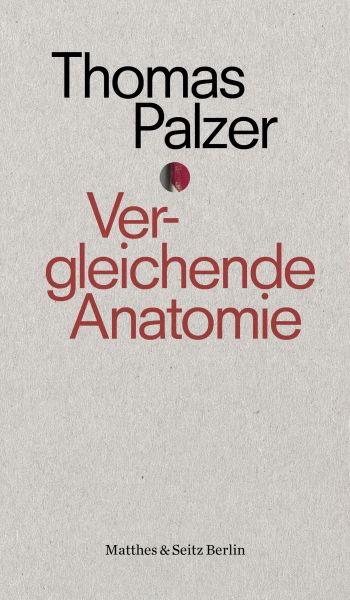 Vergleichende Anatomie