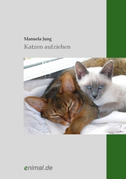 Katzen aufziehen