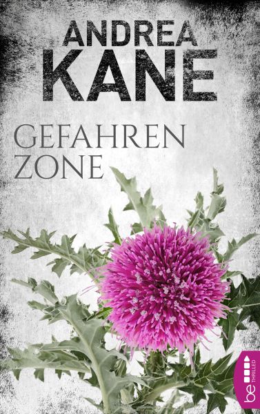 Gefahrenzone