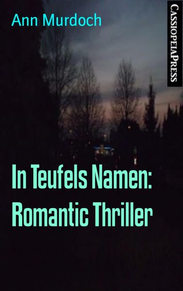 In Teufels Namen: Romantic Thriller