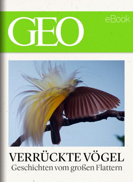 Verrückte Vögel: Geschichten vom großen Flattern (GEO eBook)