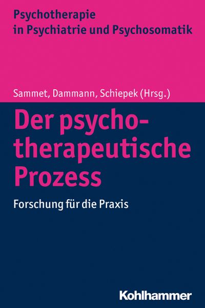 Der psychotherapeutische Prozess