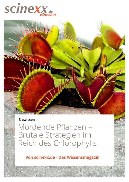 Mordende Pflanzen