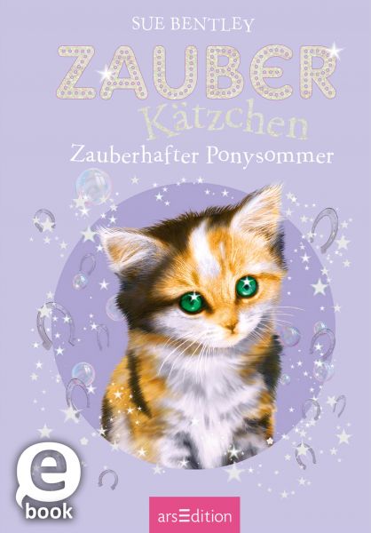 Zauberkätzchen – Zauberhafter Ponysommer (Zauberkätzchen 8)