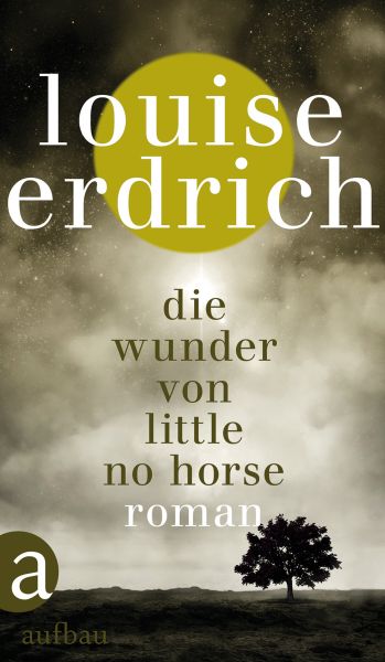 Die Wunder von Little No Horse