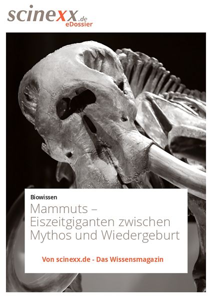 Mammuts