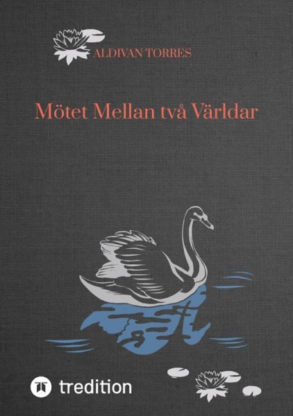 Mötet Mellan två Världar