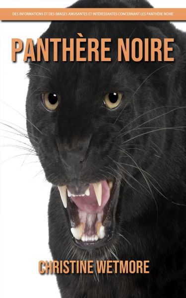 Panthère Noire – Des Informations et des Images Amusantes et Intéressantes concernant les Panthère N