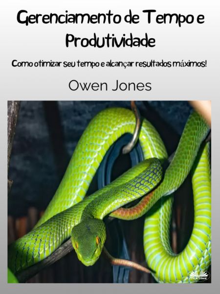 Gerenciamento De Tempo E Produtividade