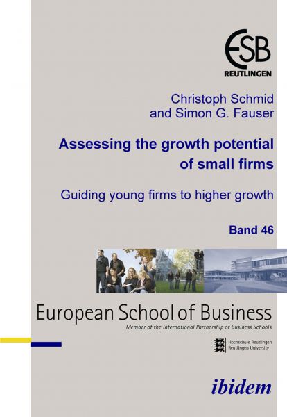 Assessing the growth potential of small firms