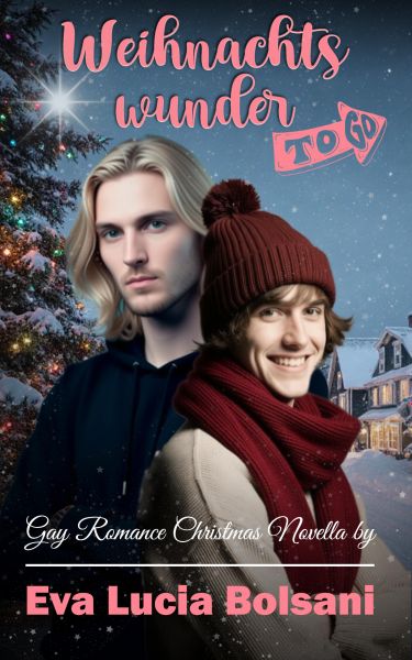 Weihnachtswunder to go