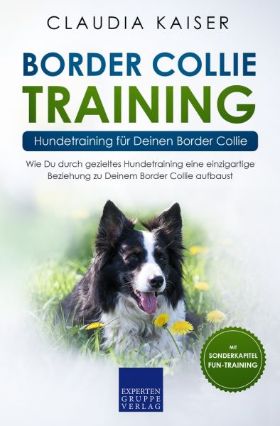 Border Collie Training – Hundetraining für Deinen Border Collie