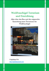 Igelpflege -Weißbauchigel Terrarium und Einrichtung