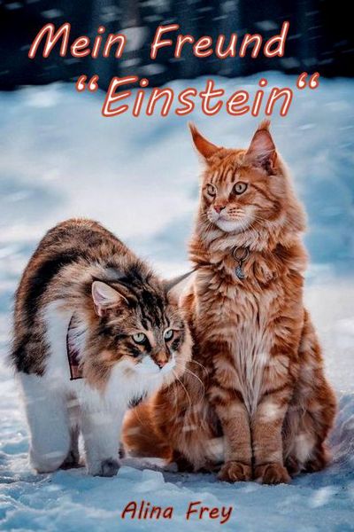 Mein Freund "Einstein"