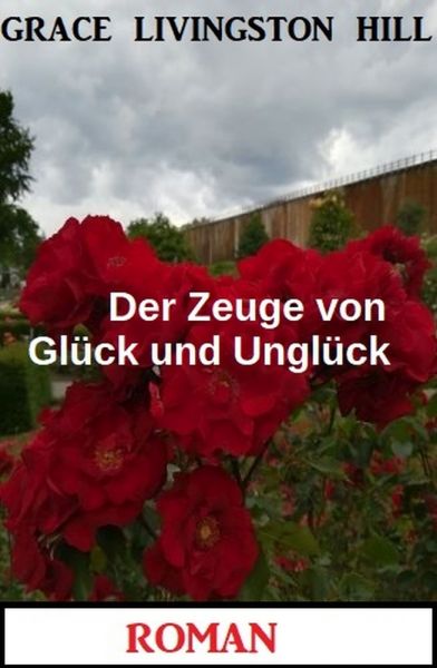 Der Zeuge von Glück und Unglück: Roman