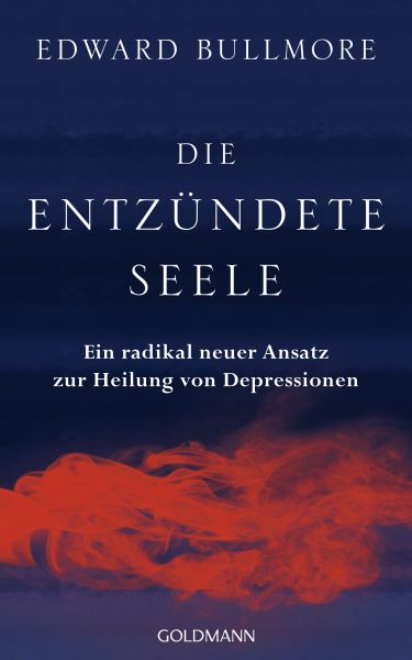 Die entzündete Seele