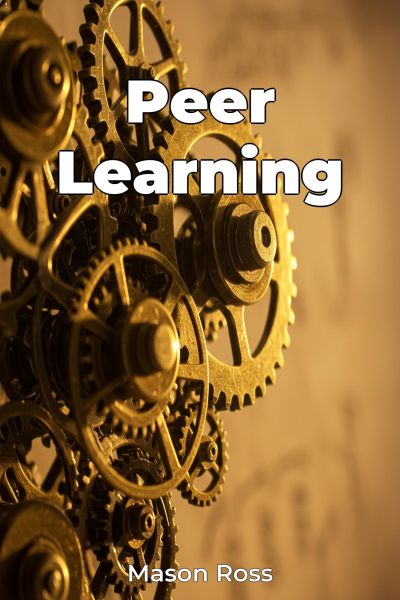 Peer Learning